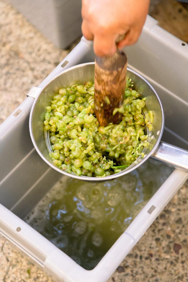 Small Group Olive Oil, Cretan Wine, Raki Distillery and Local Meze Tour