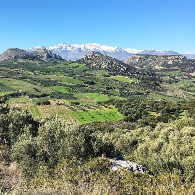 Crete: Olive Oil, Soap, Wine, Raki – Flavorful Culinary Journey